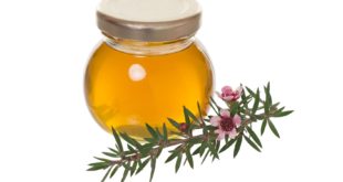 miód manuka