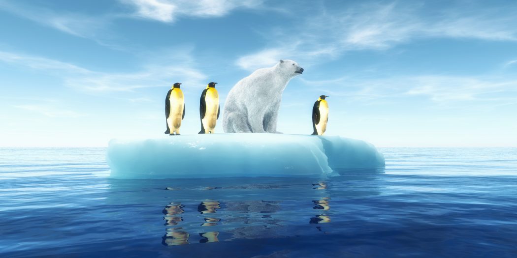 pingwiny i niedźwiedź polarny na krze lodowej