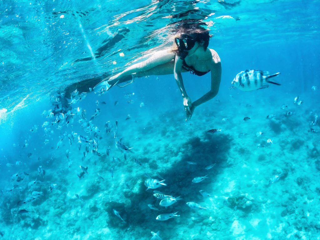 Snorkeling - czyli pływanie z zanurzoną głową