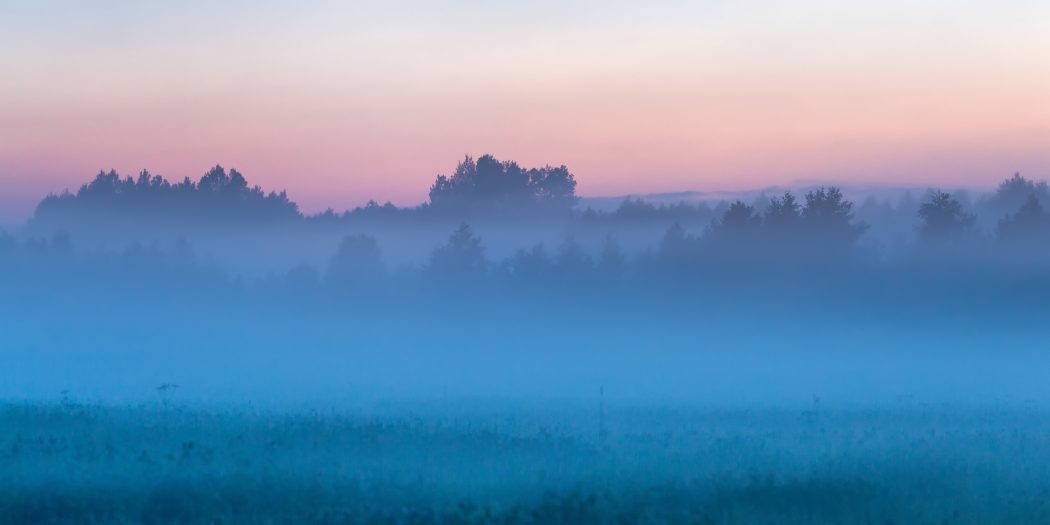 książki Katarzyny Drogi