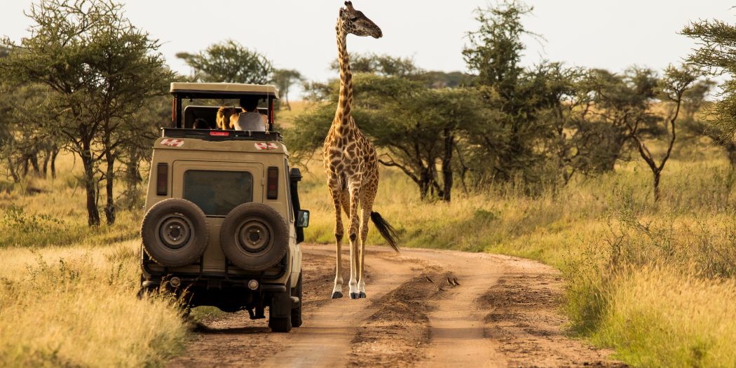 Tanzania ochrona dzikiej przyrody